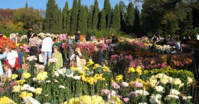 Авто-пешеходная экскурсия из Севастополя (фото 13)