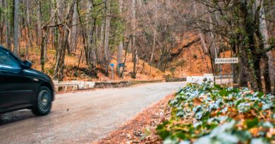 Авто-пешеходная экскурсия из Севастополя (фото 7)