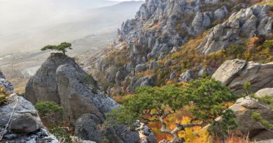Авто-пешеходная экскурсия из Севастополя (фото 11)