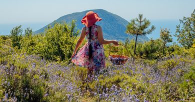 Экскурсия из Севастополя: Чарующая магия Гурзуфа: императорские парки, чехов фото 10287