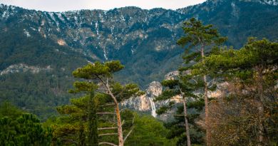 Авто-пешеходная экскурсия из Севастополя (фото 6)