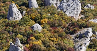 Экскурсии в `Храм Солнца, «Крымский Стоунхендж»` из Ласпи